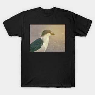 Black-Crowned Heron T-Shirt